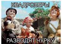 640x463