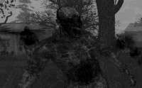 1117x696