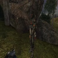 860x860