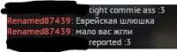229x68