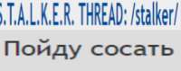 323x128