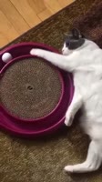 360x640
