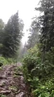360x640