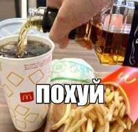 540x513