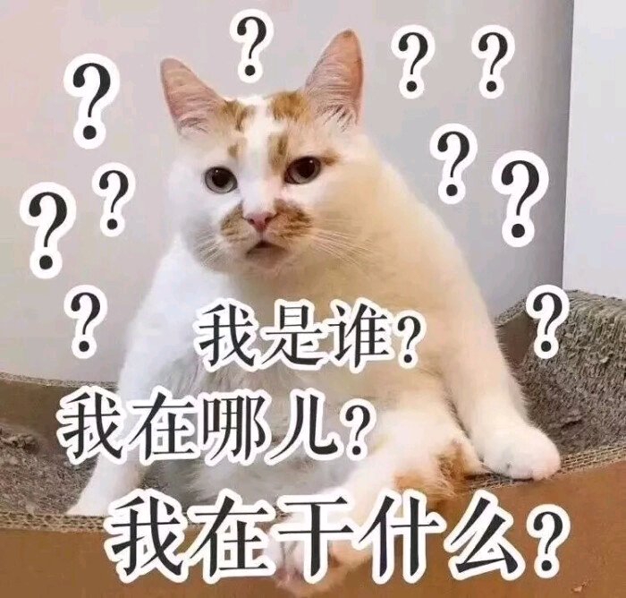 700x668