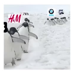 320x320